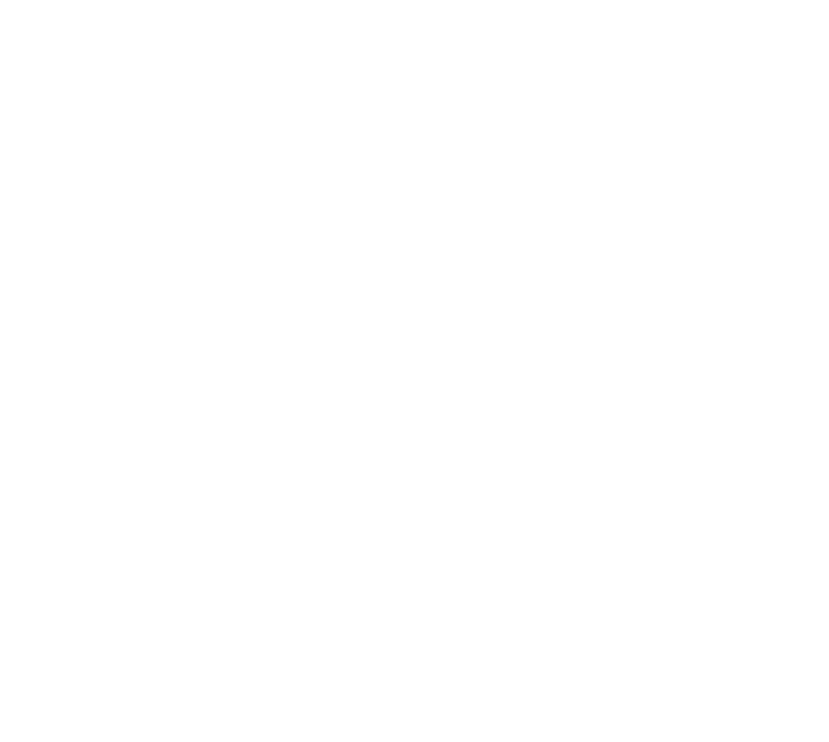 Spinnaker-Capital-logo-icon